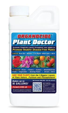 Plant Doctor Systemic Fungicide Concentrate Pint