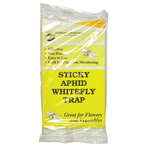 Sticky Aphid Whitefly Traps
