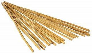 Natural Bamboo Stake