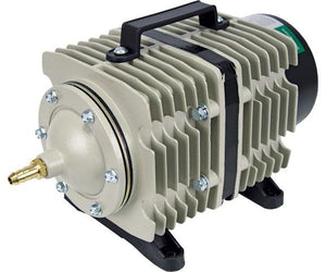 Active Commercial Air-Pump Outlet