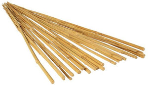Natural Bamboo Stake
